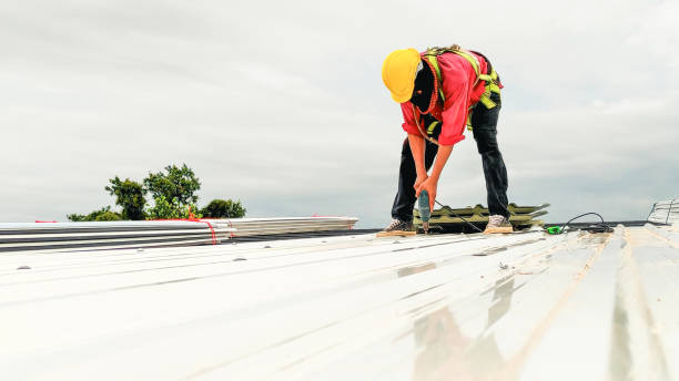 Best Commercial Roofing Services  in Scanlon, MN