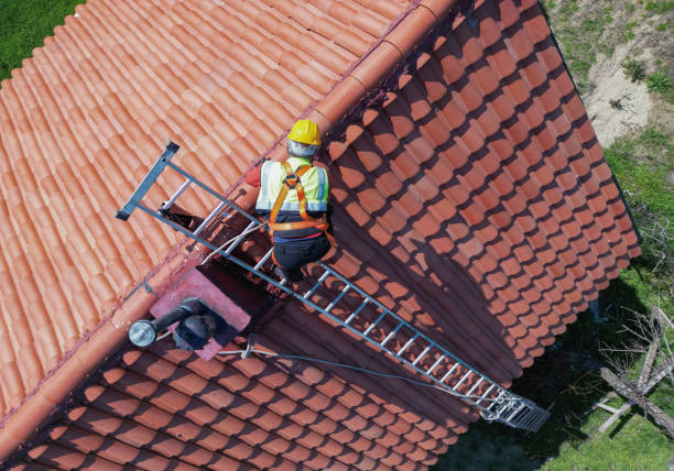 Best Roof Ventilation Installation  in Scanlon, MN